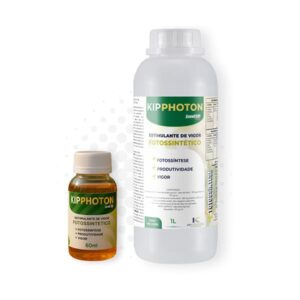 kipphoton