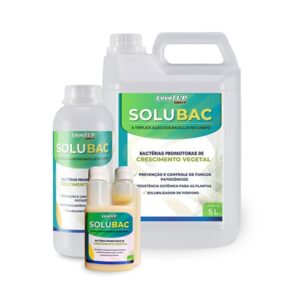 solubac