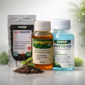 kit-fotossintese-start