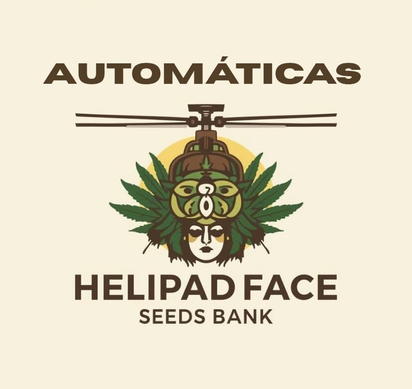 Helipad Face 